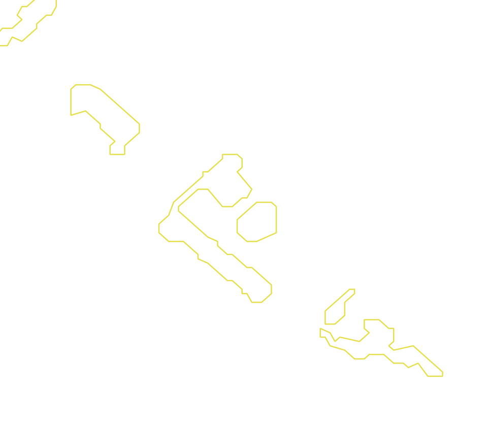 Daksegment met contourlijnen en structuurweergave