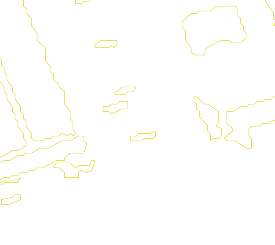 Daksegment met contourlijnen en structuurweergave