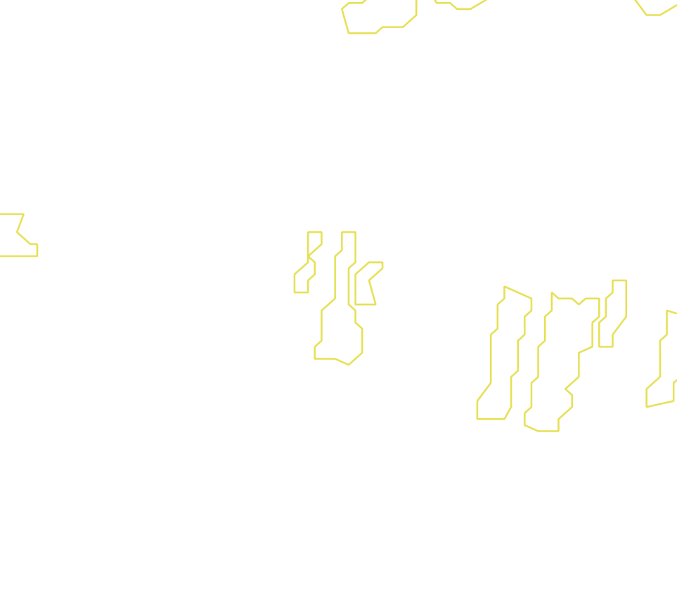 Daksegment met contourlijnen en structuurweergave