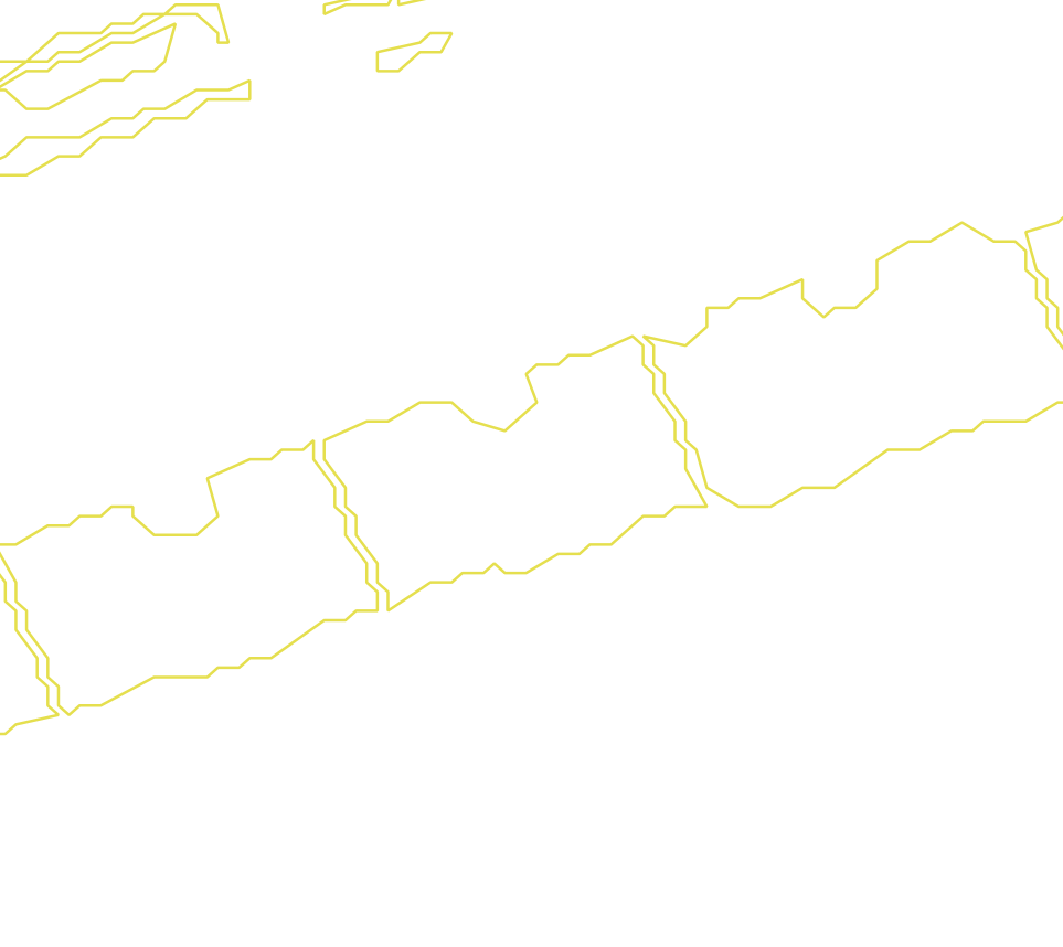 Daksegment met contourlijnen en structuurweergave