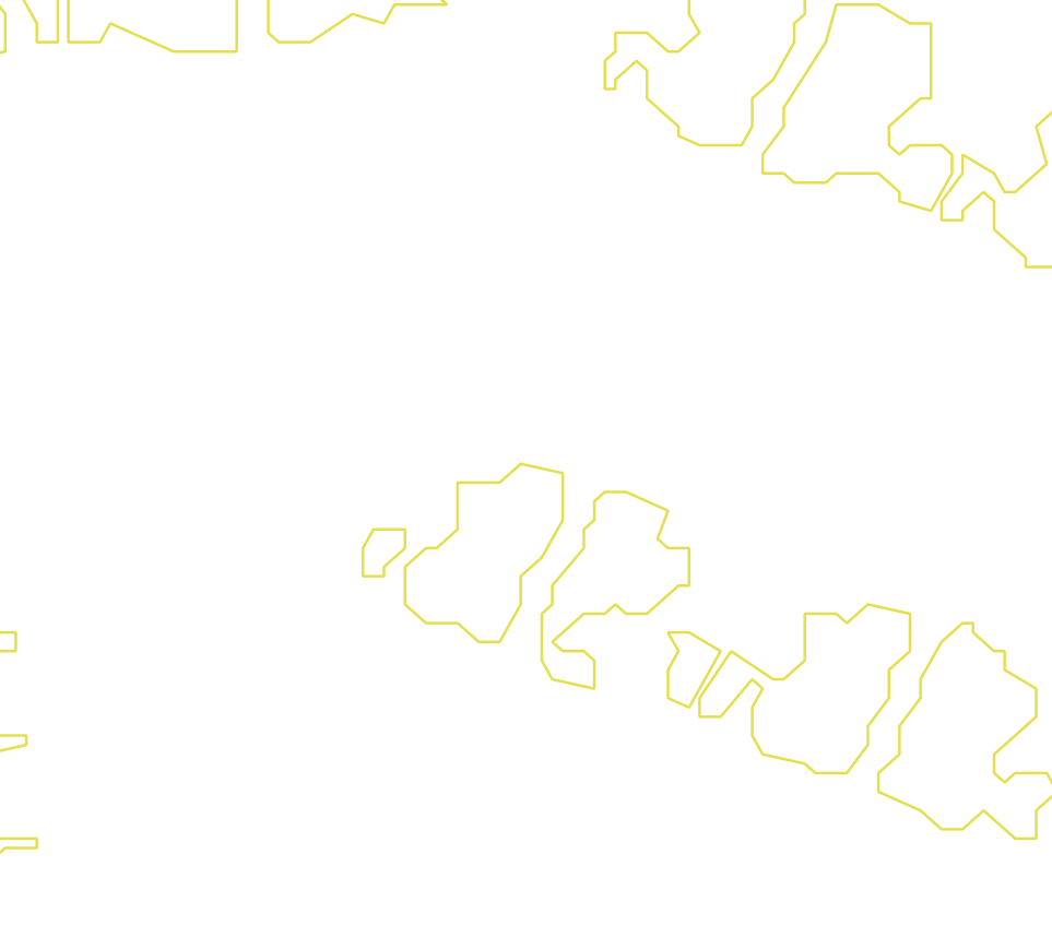 Daksegment met contourlijnen en structuurweergave
