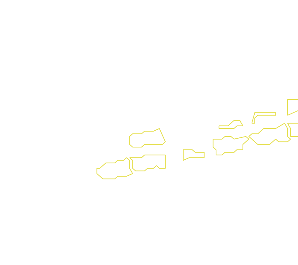 Daksegment met contourlijnen en structuurweergave