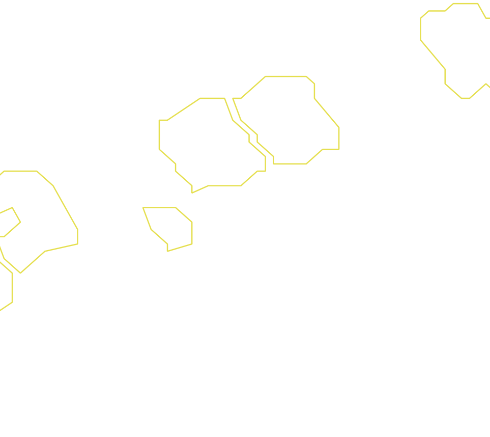 Daksegment ingezoomd met contourlijnen en structuurweergave