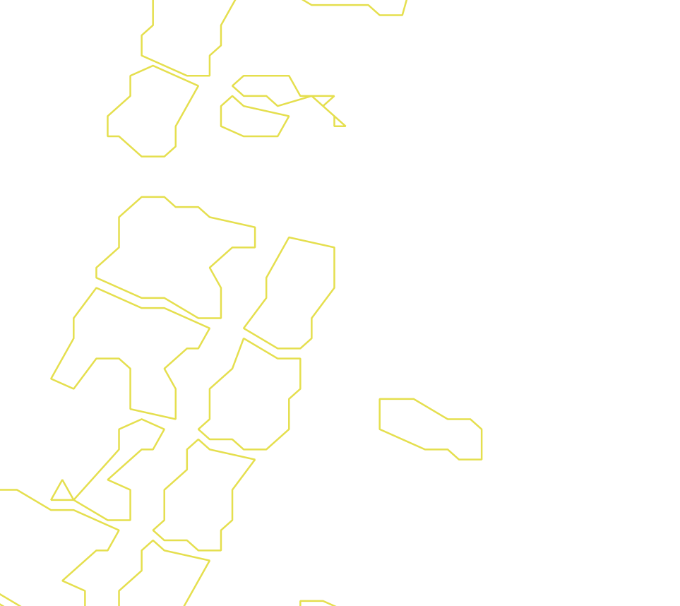 Daksegment ingezoomd met contourlijnen en structuurweergave