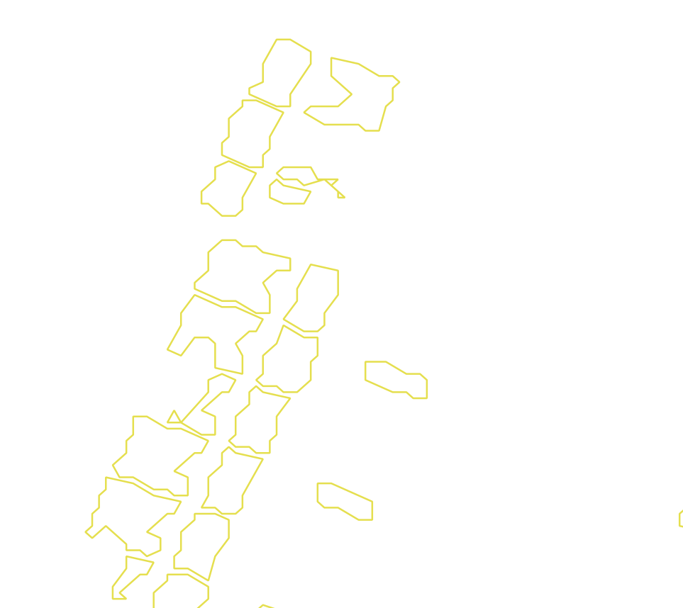 Daksegment met contourlijnen en structuurweergave