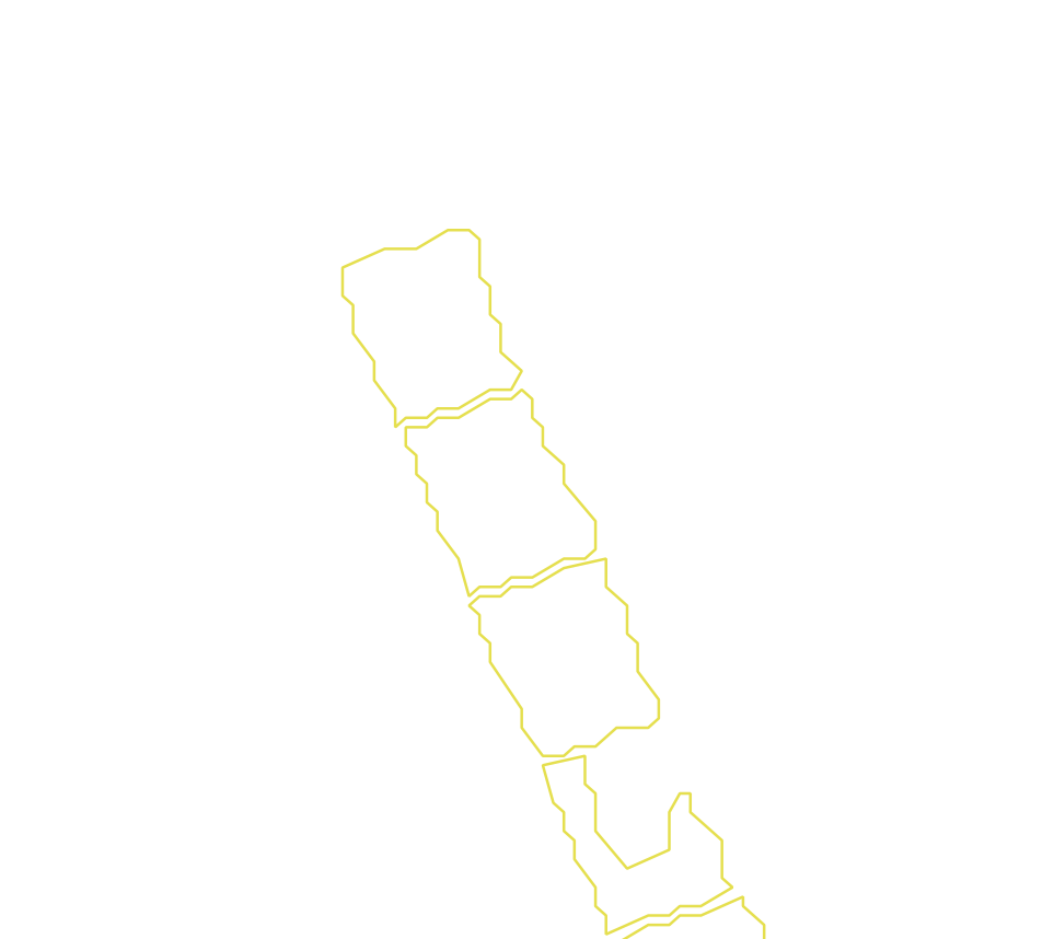Daksegment met contourlijnen en structuurweergave