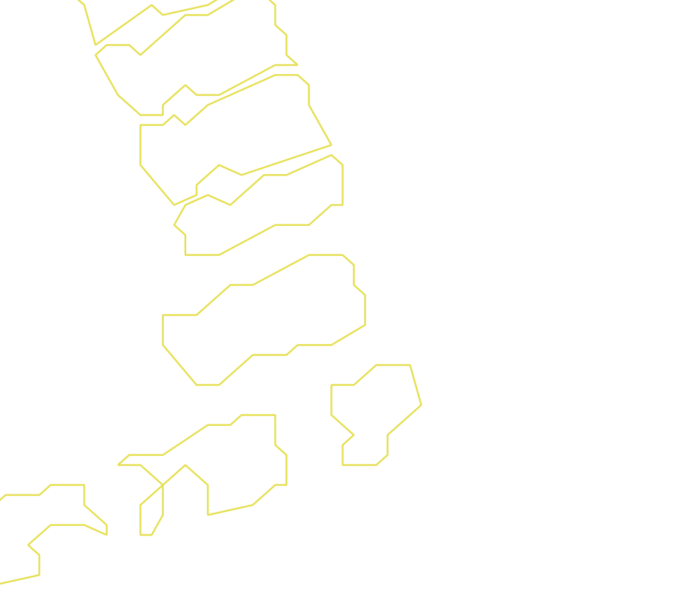 Daksegment ingezoomd met contourlijnen en structuurweergave