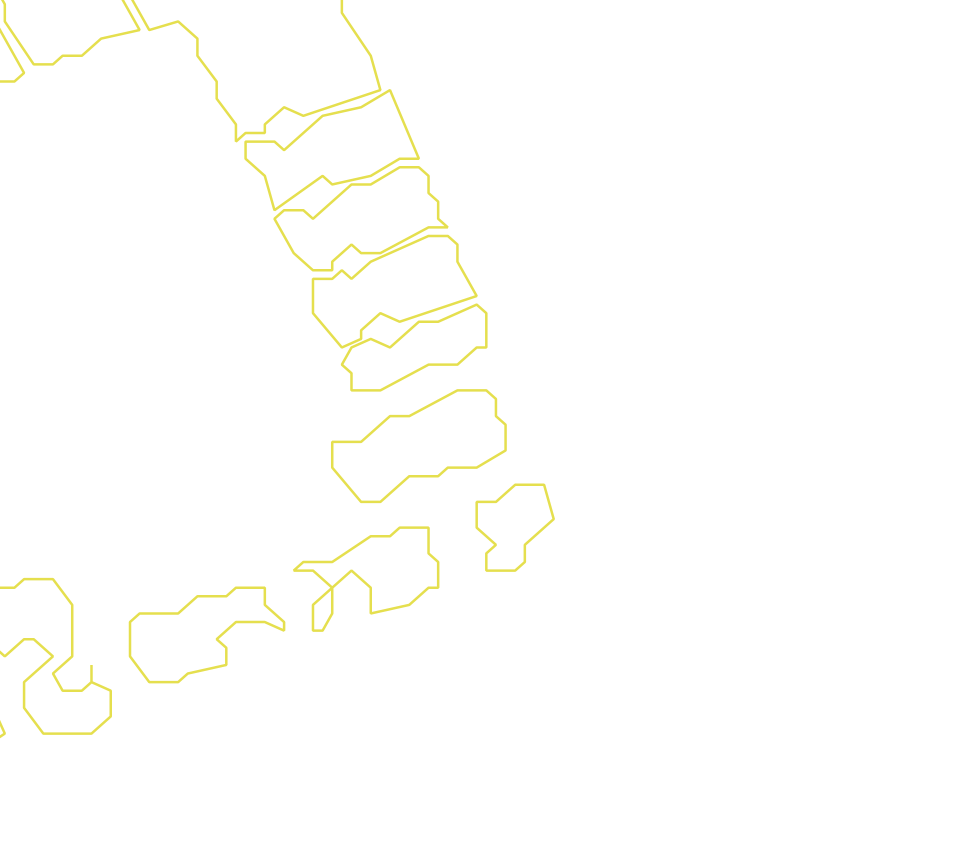 Daksegment met contourlijnen en structuurweergave