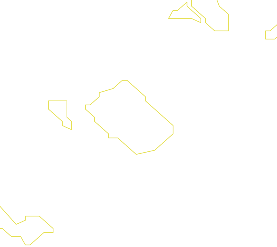 Daksegment ingezoomd met contourlijnen en structuurweergave