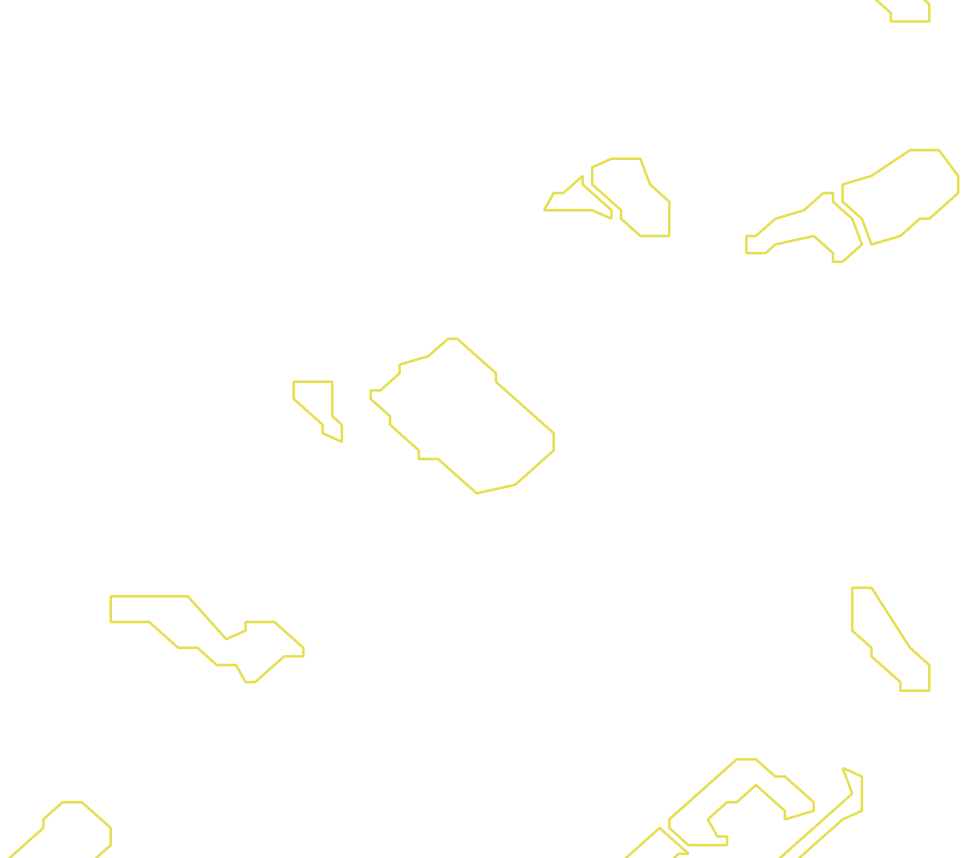 Daksegment met contourlijnen en structuurweergave