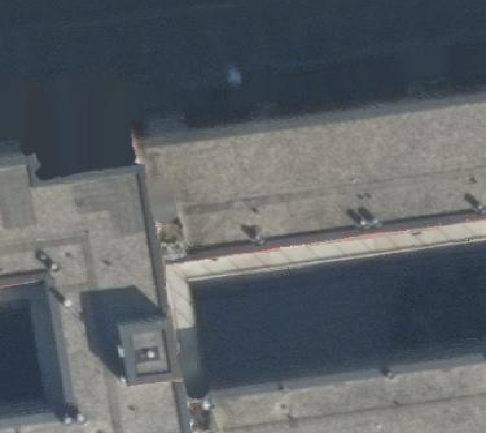 True ortho Luchtfoto op daksegment ingezoomd