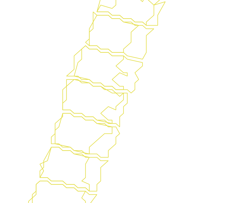Daksegment ingezoomd met contourlijnen en structuurweergave