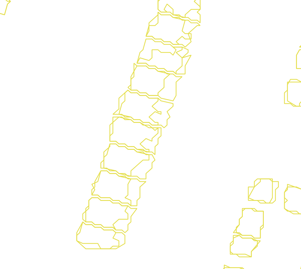 Daksegment met contourlijnen en structuurweergave