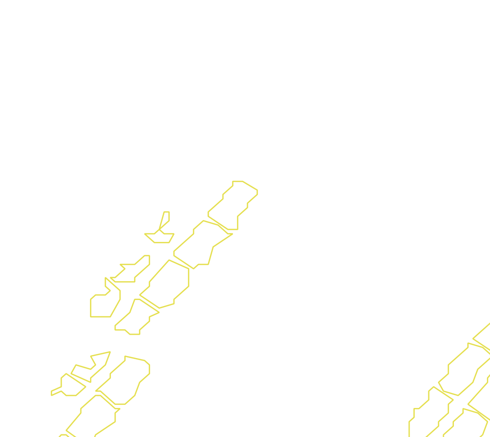 Daksegment met contourlijnen en structuurweergave