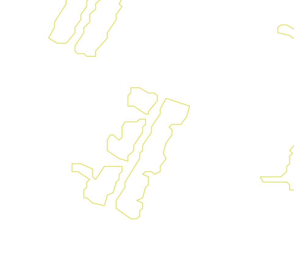 Daksegment met contourlijnen en structuurweergave