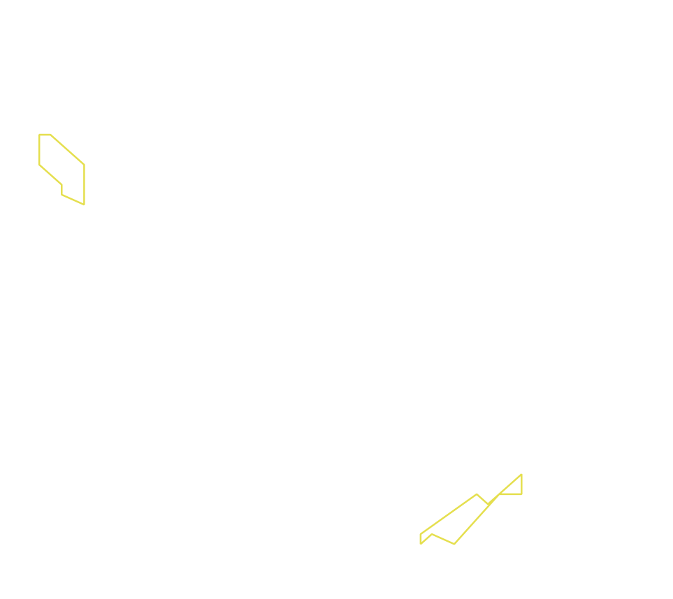 Daksegment ingezoomd met contourlijnen en structuurweergave