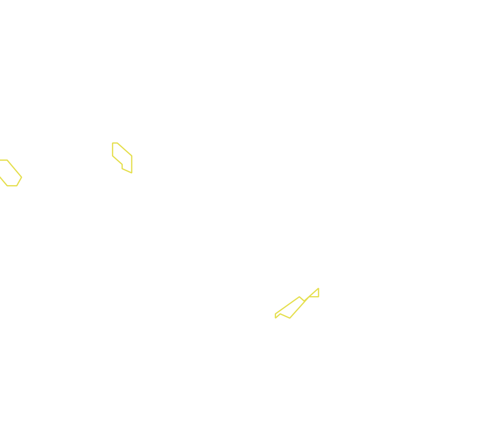 Daksegment met contourlijnen en structuurweergave