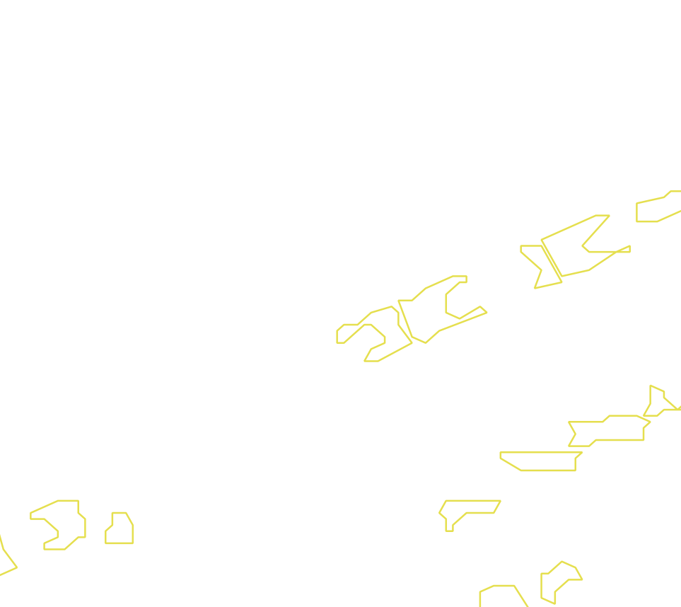 Daksegment met contourlijnen en structuurweergave