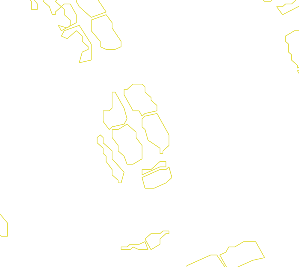 Daksegment met contourlijnen en structuurweergave