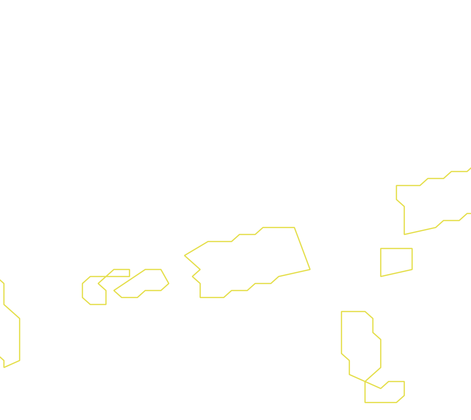 Daksegment ingezoomd met contourlijnen en structuurweergave