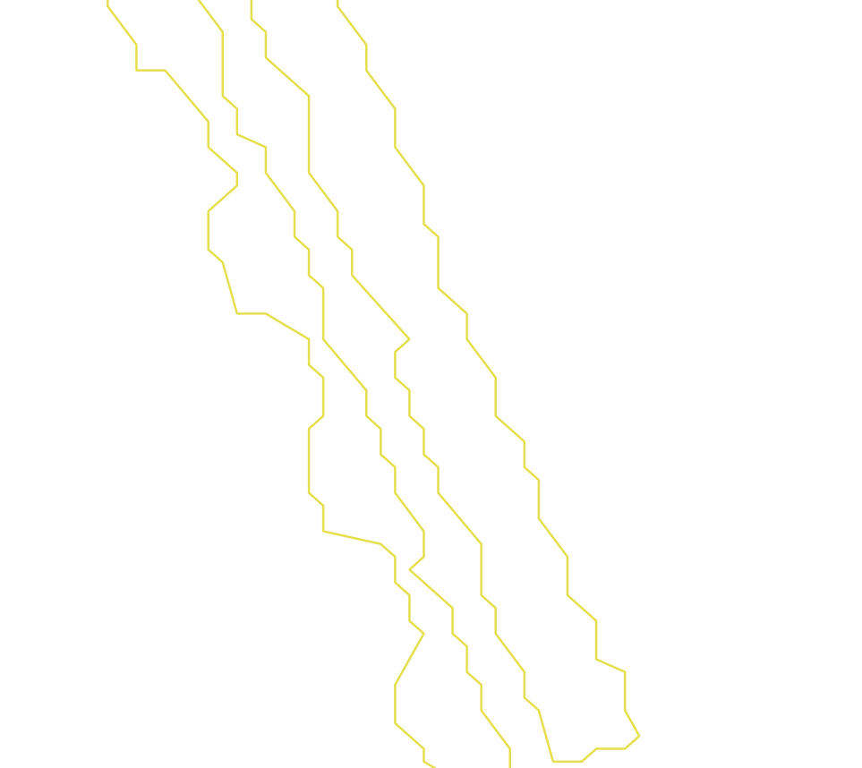 Daksegment ingezoomd met contourlijnen en structuurweergave