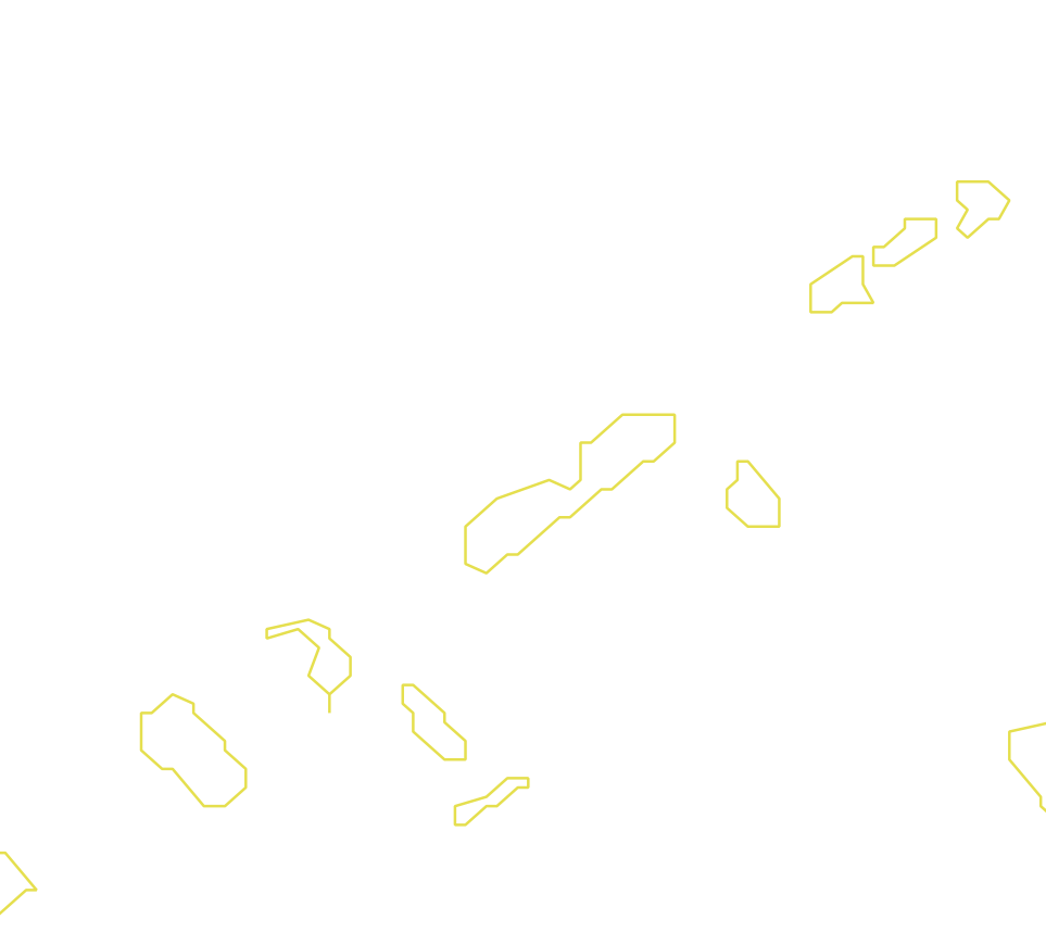 Daksegment met contourlijnen en structuurweergave