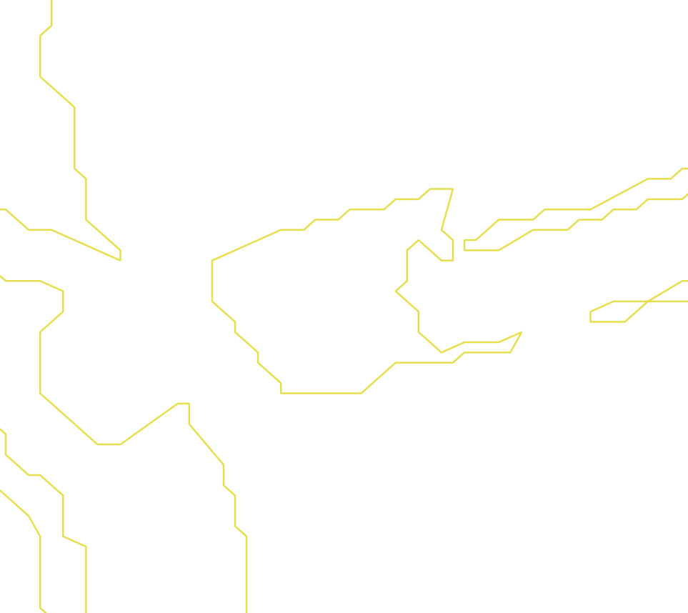 Daksegment ingezoomd met contourlijnen en structuurweergave