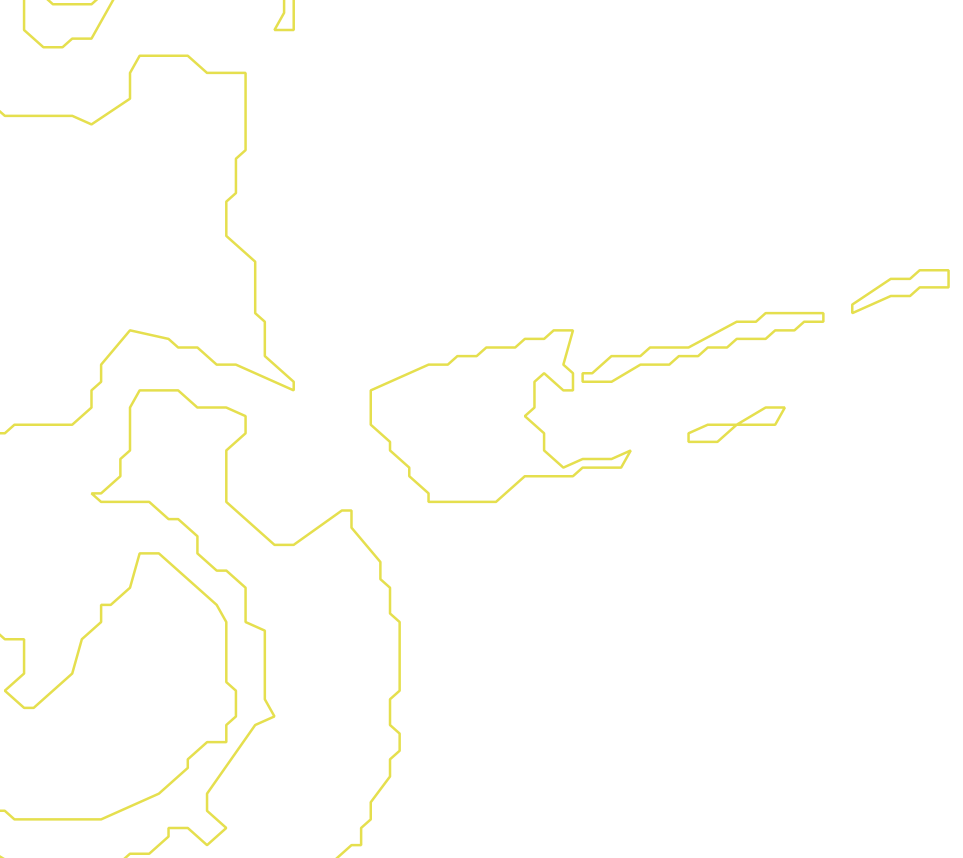 Daksegment met contourlijnen en structuurweergave
