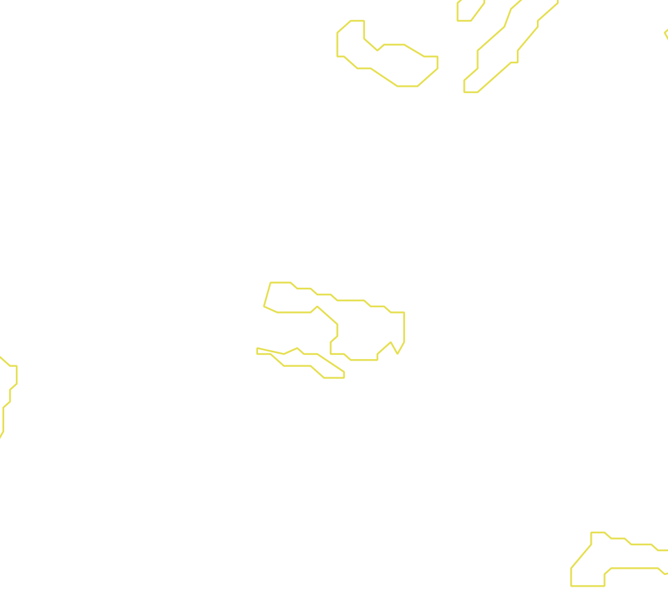 Daksegment met contourlijnen en structuurweergave