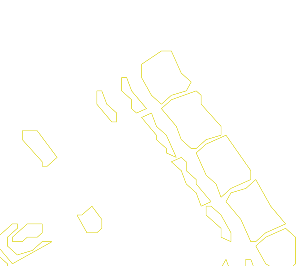 Daksegment ingezoomd met contourlijnen en structuurweergave