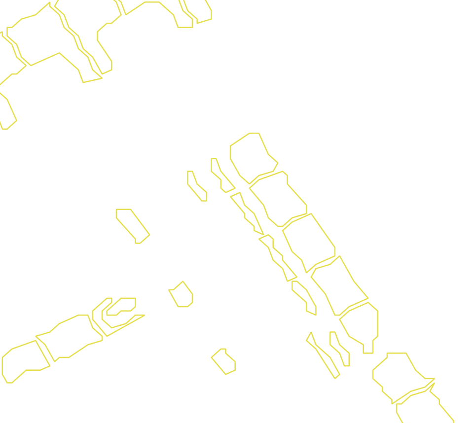 Daksegment met contourlijnen en structuurweergave