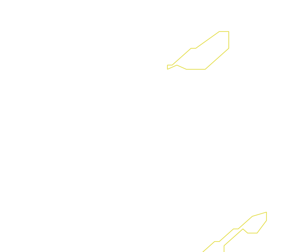 Daksegment ingezoomd met contourlijnen en structuurweergave