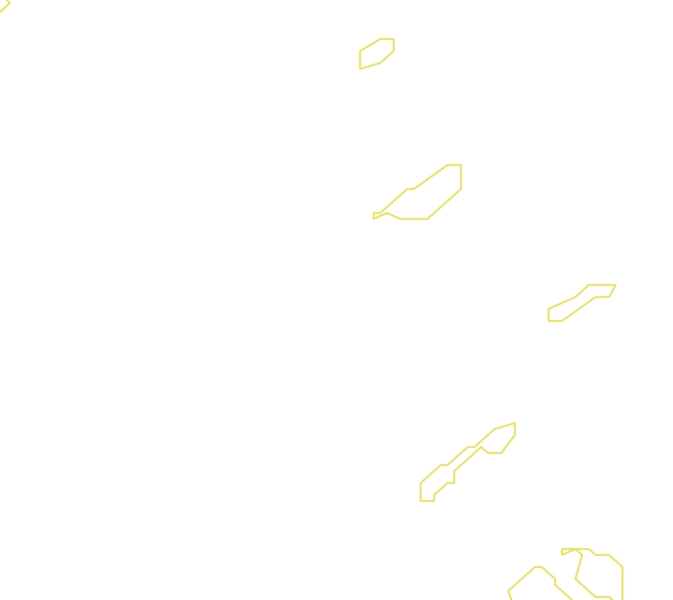 Daksegment met contourlijnen en structuurweergave