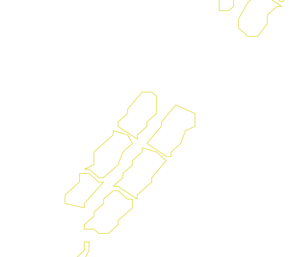 Daksegment ingezoomd met contourlijnen en structuurweergave