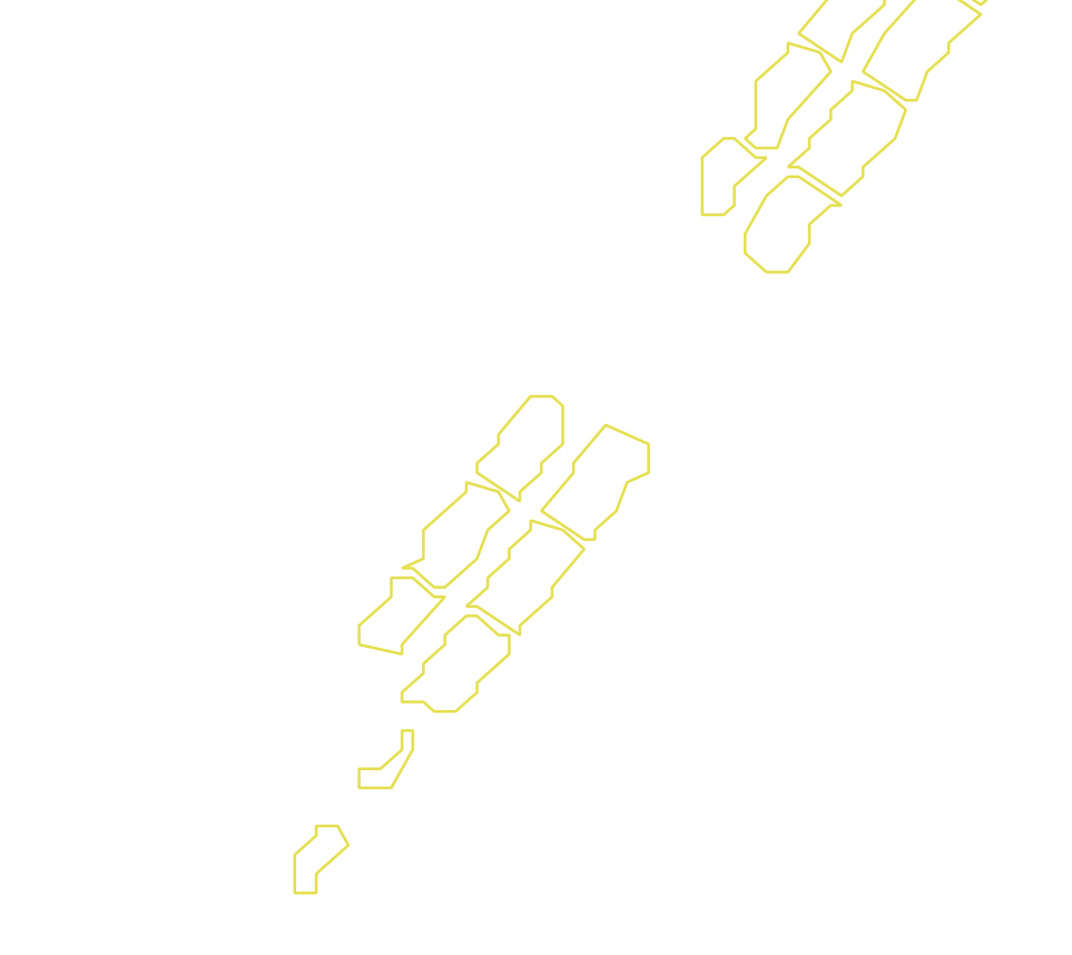 Daksegment met contourlijnen en structuurweergave
