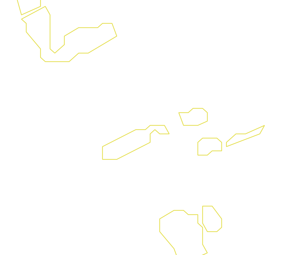 Daksegment ingezoomd met contourlijnen en structuurweergave