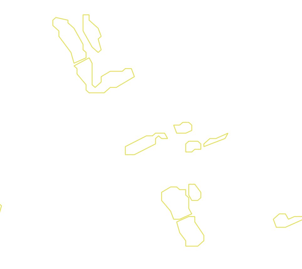 Daksegment met contourlijnen en structuurweergave