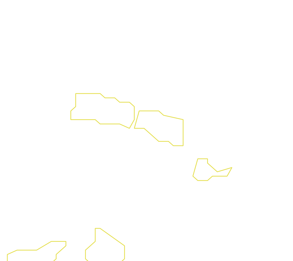 Daksegment ingezoomd met contourlijnen en structuurweergave