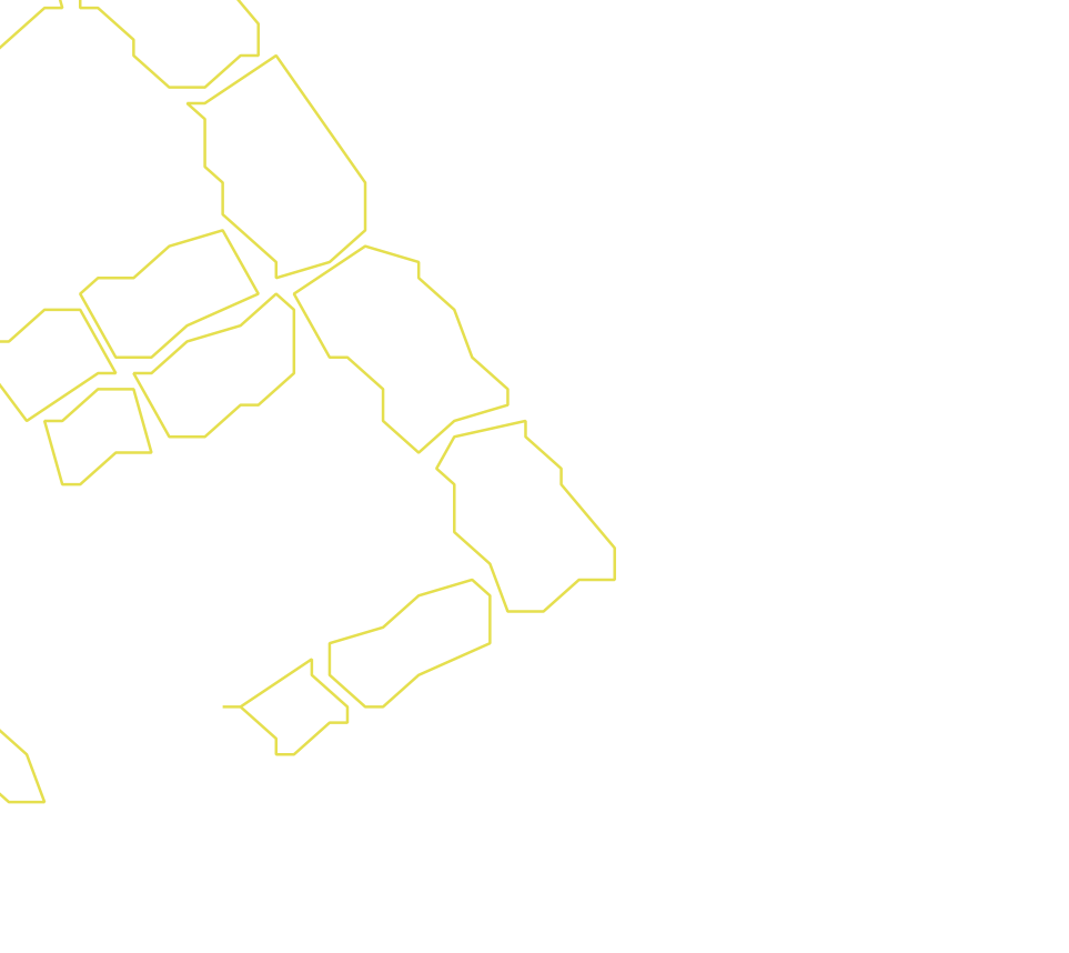 Daksegment ingezoomd met contourlijnen en structuurweergave