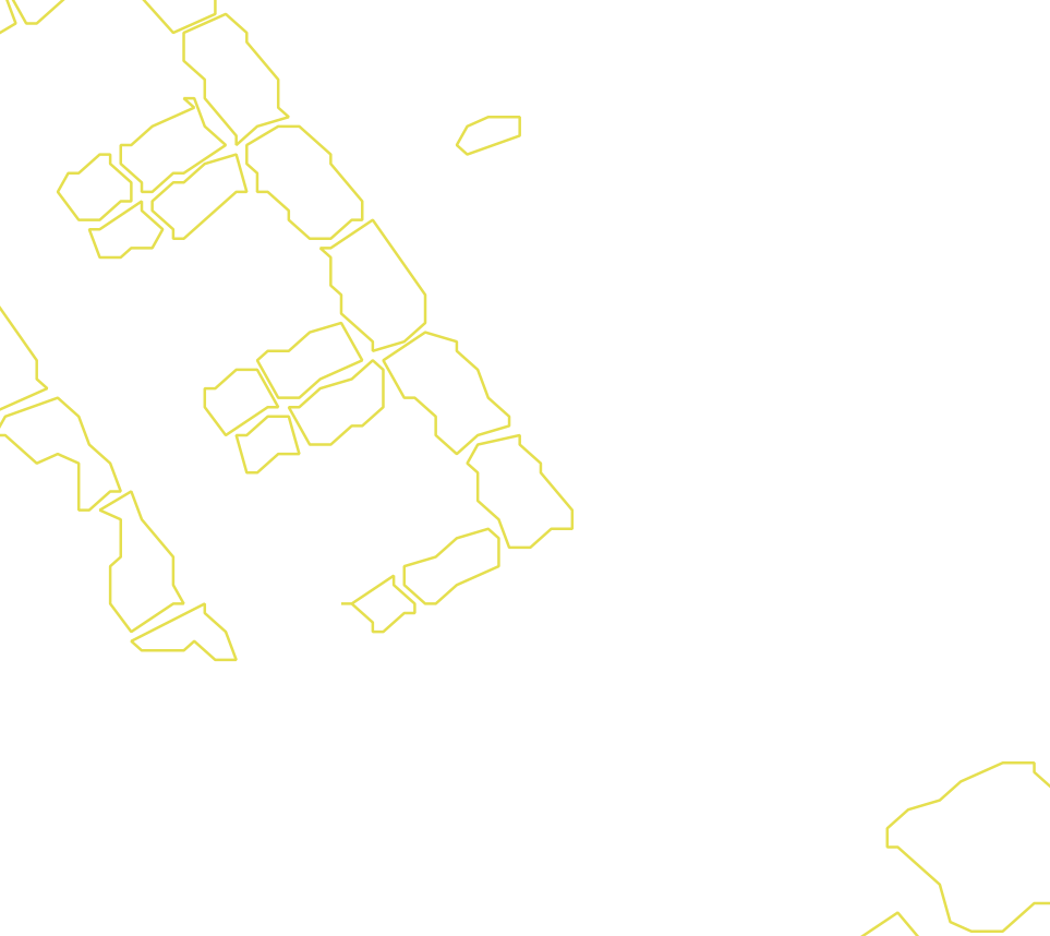 Daksegment met contourlijnen en structuurweergave