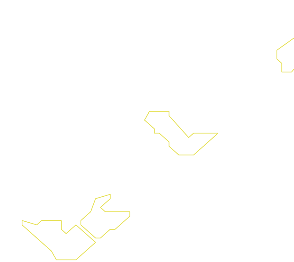 Daksegment ingezoomd met contourlijnen en structuurweergave
