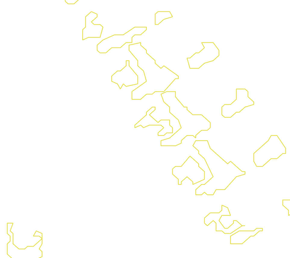 Daksegment met contourlijnen en structuurweergave