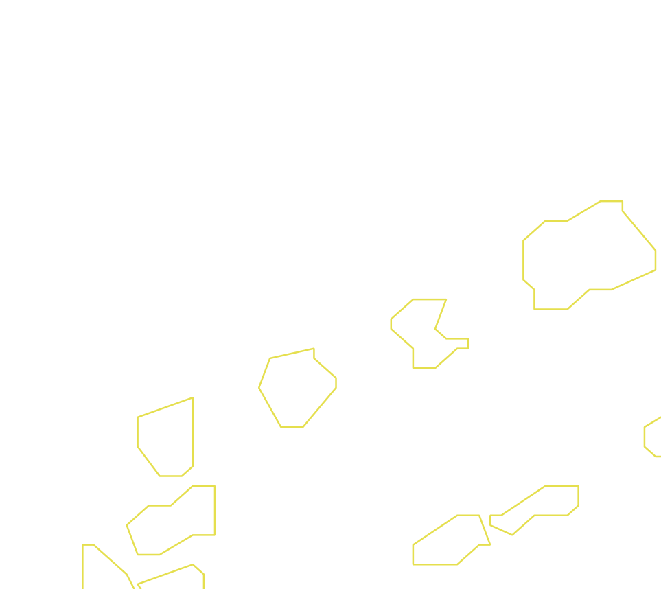 Daksegment ingezoomd met contourlijnen en structuurweergave