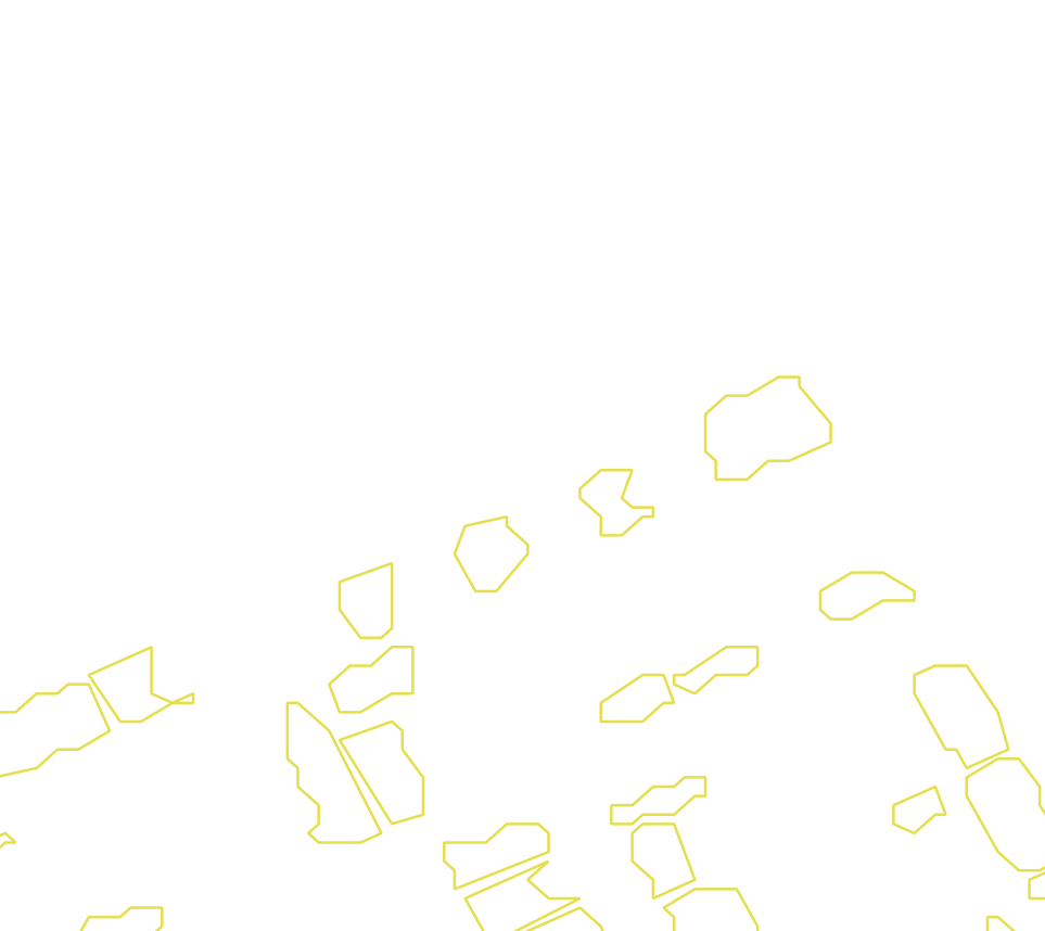 Daksegment met contourlijnen en structuurweergave
