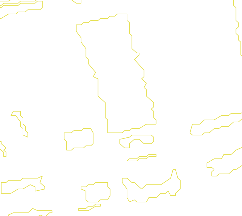 Daksegment met contourlijnen en structuurweergave