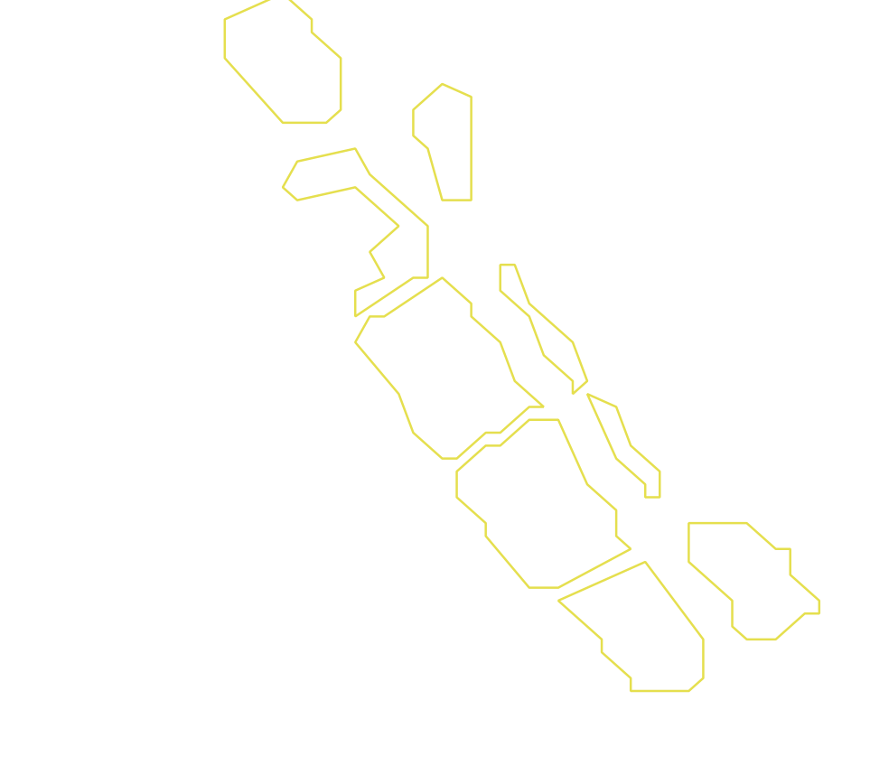 Daksegment ingezoomd met contourlijnen en structuurweergave