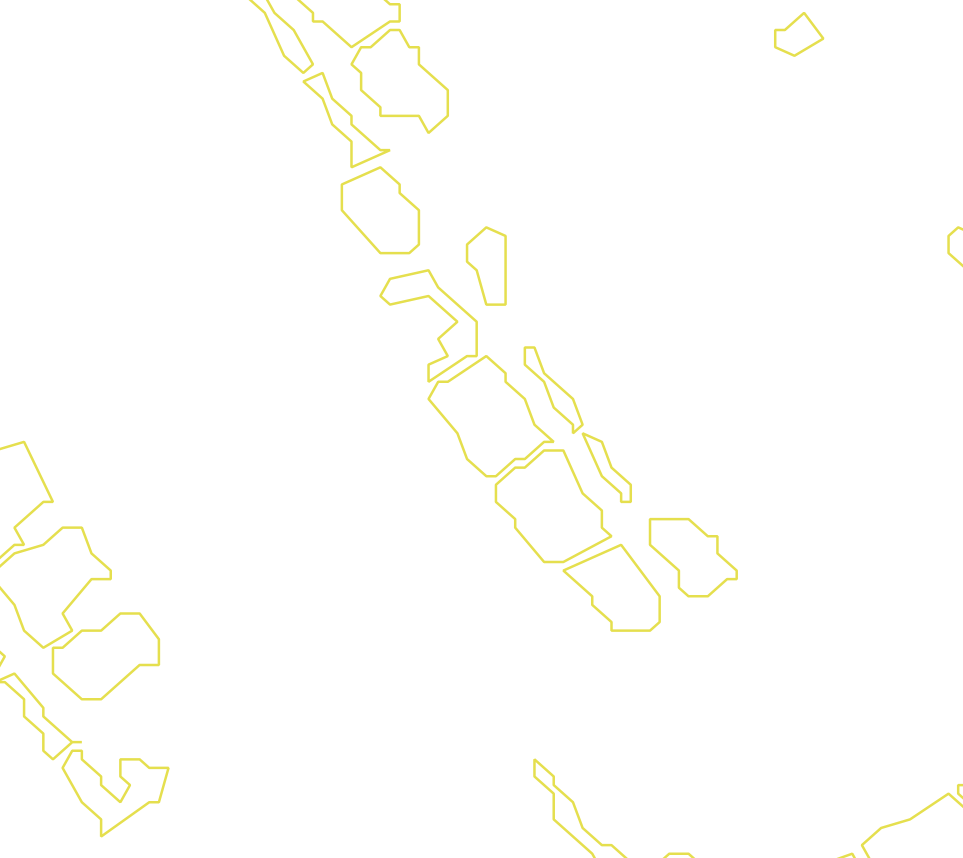 Daksegment met contourlijnen en structuurweergave