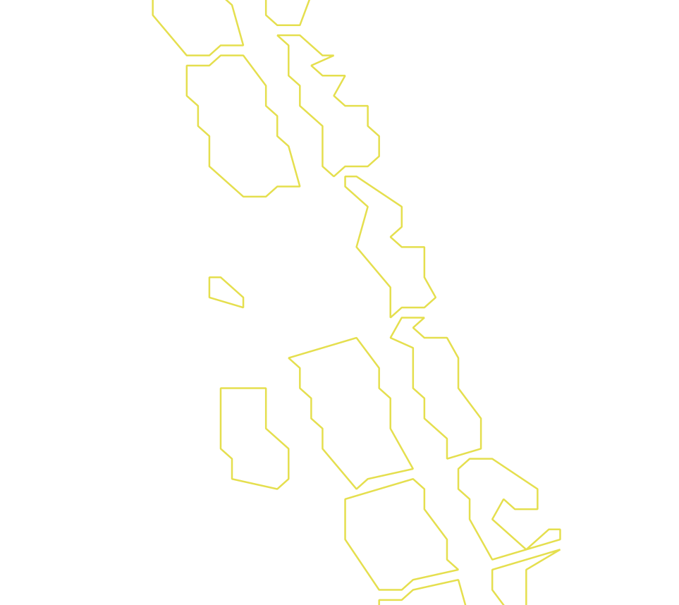 Daksegment ingezoomd met contourlijnen en structuurweergave
