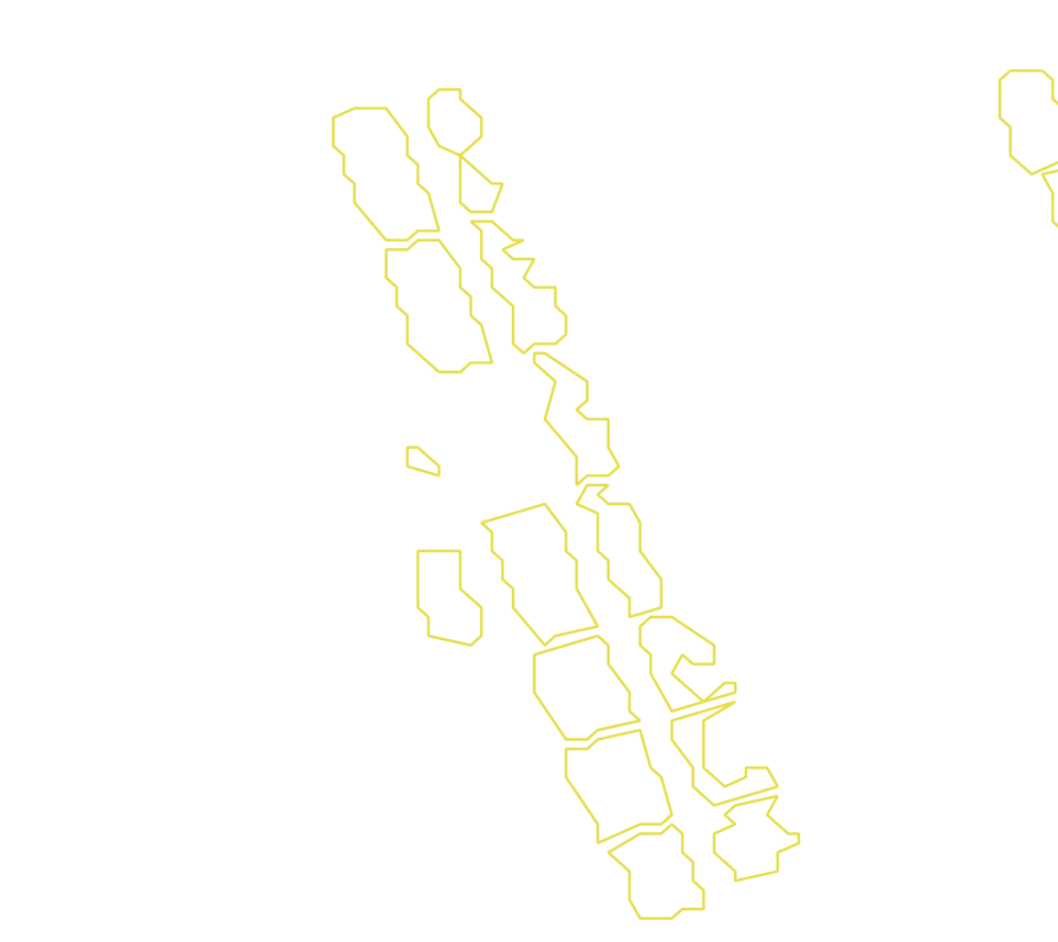 Daksegment met contourlijnen en structuurweergave
