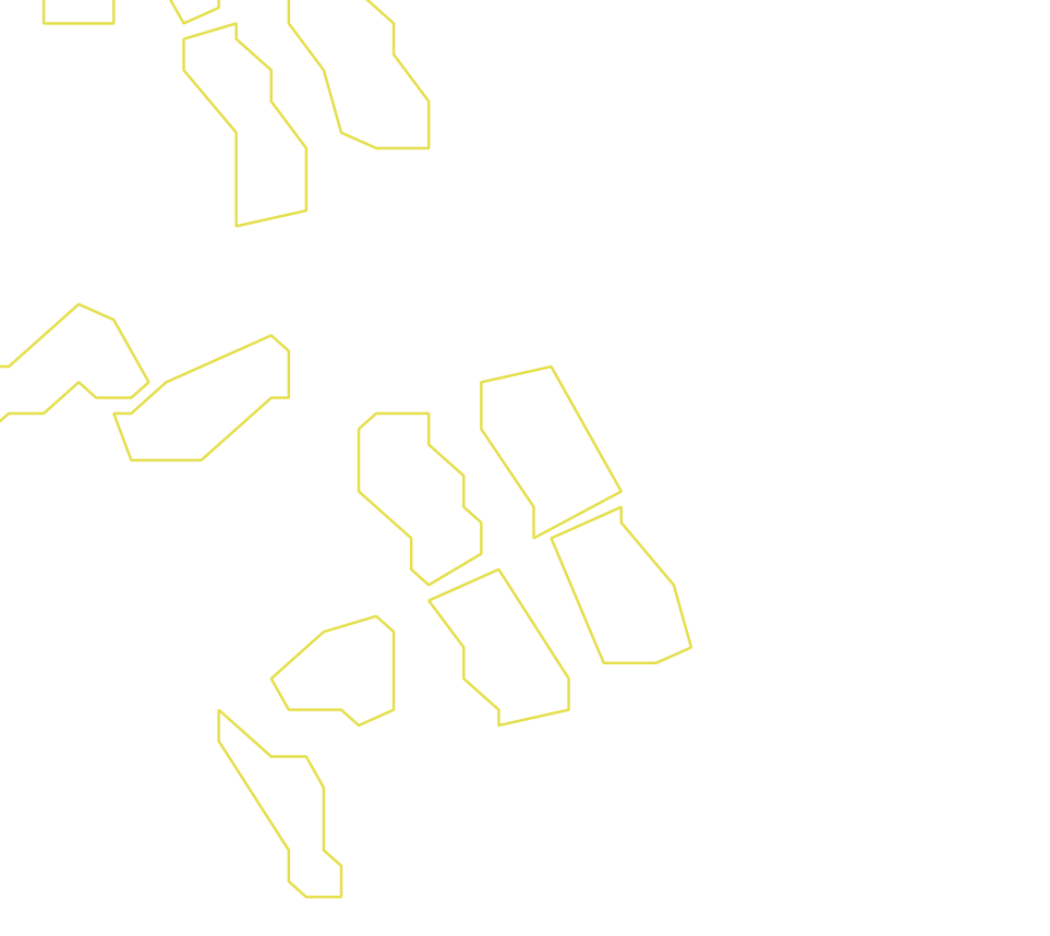 Daksegment ingezoomd met contourlijnen en structuurweergave